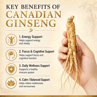 Load image into Gallery viewer, Ginseng Root Powder Capsules
