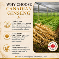Load image into Gallery viewer, Ginseng Root Powder Capsules
