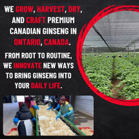 Load image into Gallery viewer, Ginseng Jumbo-Size Roots
