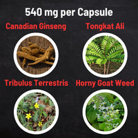 Load image into Gallery viewer, Ginseng Formula 4MEN Powder Capsules
